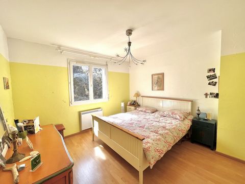 photo no. 7