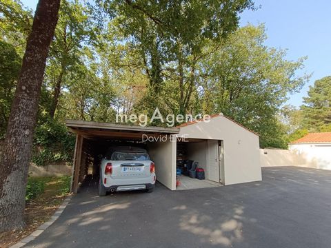 photo no. 14