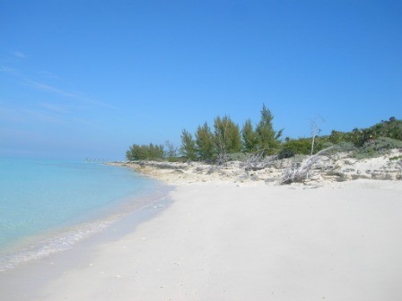 Wonderfully private, sea to sea, Rose Island property with incredible views over Green Cay and the Rose Island sand bank on the north side of the island. Elevations of over 30 ft. command 360 degree views.
