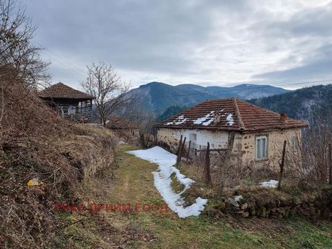 ТЕЛ.: ... ; ... /ПРЕДЛАГАЕМ НА ПРОДАЖУ КАМЕННЫЙ РОДОПСКИЙ ДОМ+ФЛИГЕЛЬ С ЛЕТНЕЙ КУХНЕЙ, РАСПОЛОЖЕННЫЙ В ПРОСТОРНОЙ СОБСТВЕННОСТИ ПЛОЩАДЬЮ 1800 КВ.М В ЖИВОПИСНОЙ РОДОПСКОЙ ДЕРЕВНЕ МАЛКА АРДА, всего в 8 км от БАЛЬНЕОЛОГИЧЕСКОГО ЦЕНТРА - БАНИТЕ. В ТИХОМ ...