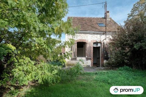 In the Loiret department, located 26 minutes north/east of Montargis and 114 km from Paris, Ervauville is close to the A6 and A19 motorways. An authentic village, it offers a good compromise between the advantages of the countryside and the imperativ...