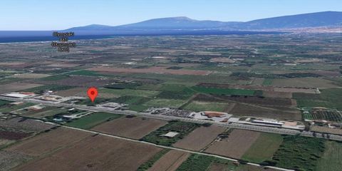 For sale a plot of 4,500 sq.m. in Katerini, Central Macedonia. Flawless investment due to the location on the road to Katerini beach, 2 km from the sea. A permit can be issued for a building of 1500 sq.m. for a supermarket, etc. It can also be used a...