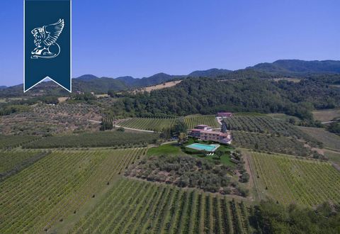This staggering farm in the heart of Mugello, Tuscany's green lung, is currently up for sale and includes 30 hectares of fruit orchards, vineyards, olive groves and forests. This farmstead has been recently refurbished by its current owners, who...