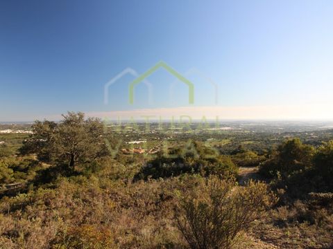 Rustic Property of 12,490m2, Ideal for Various Activities! This exceptional rustic property, located in Alface - Estoi, in the municipality of Faro, stands out for its total land area of 12,490m2, with over 1 hectare occupied by characteristic region...
