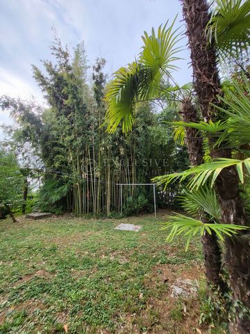 Location: Primorsko-goranska županija, Lovran, Lovran. LOVRAN - For sale is a house in a fantastic location, near the sea and the center of Lovran. The house is located on a large plot of about 1200m2 and is surrounded by palm trees and Mediterranean...