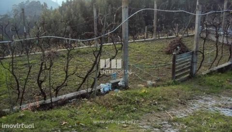 Land for sale, with an area of 4 350 m2, possibility of construction, planting of vineyard and good location. Situated 20 minutes from Penafiel city centre. Moinhos River, Penafiel. Ref.:MC05813 FEATURES: Land Area: 4 350 m2 Area: 4 350 m2 Useful Are...