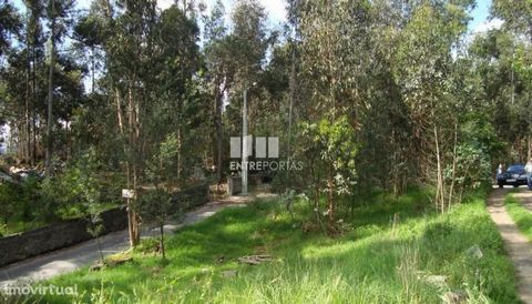 Land with 404 m2. Good location. Ref.:5558 BETWEEN DOORS Founded in 2004, the ENTREPORTAS group over 15 years old, is a leader in real estate mediation in the markets in which it operates, offering a quality and innovative service. ENTREPORTAS real e...