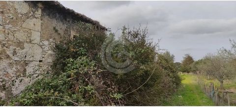 Excellent and well located, rustic land in village 8 min from Torres Novas, access by secondary road on land, panoramic view, stunning, the land is practically flat, is clean, and has a ruin with 143 m2, with possibility of rehabilitation, and buildi...