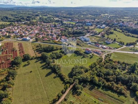 Location: Istarska županija, Žminj, Žminj. Istrien, Žminj Žminj ist bekannt für die reiche Geschichte des alten Stadtkerns, der Zisterne, der gepflasterten Štrada-Straße, der Fresken, Kirchen, Kulturgüter und Gastronomie und zieht Besucher aus aller ...