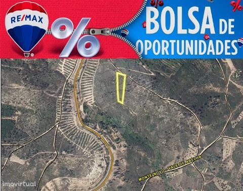 Rustic land with 2,200 m2, composed of pine forest. Located in Casal Velho, Ortiga, municipality of Mação. Area with stunning natural landscapes and several river beaches. Do not waste time book your visit now! At RE/MAX where your happiness lives!