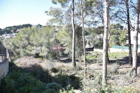 If you are looking for a well oriented, spacious and well located plot, take a look at this plot in Baronia de Mar, facing south, from the second floor you can enjoy sea and mountain views, and prepared to build a large house, we see it ??, call us!