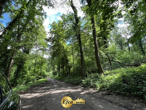 En Alsace proche de Mulhouse, propriété au calme, tout en étant à proximité d’une ville disposant de tous les commerces. Emplacement idéal, à 40 km de Belfort, de Fribourg en Allemagne et Bales en Suisse. Superbe propriété de 9 500 m2 dans un environ...