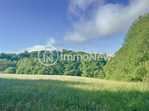 IMMONEW presents you in the town of COULOUVRAY BOISBENATRE, a beautiful plot of wood with a surface area of 32627 m2 distributed in one piece with multiple species and easy access road. A small part of the whole is in the nature of meadow. If you are...