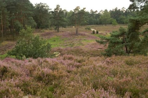 Vakantiehuis Söderstorf / Amelinghausen 2 personen. Vakantie in een verzorgde omgeving. Geschikt voor mensen met allergieën, overdekt, beschut terras. Puur ontspanning.