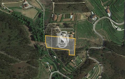 REF: BRAGALIBERDADECM920 Unmissable opportunity! Rustic land of 8,800 m² for sale in Rua Corte da Velha, Arnoia, Celorico de Basto, Braga. A refuge with potential for exploration and development. This vast terrain awaits your entrepreneurial vision. ...