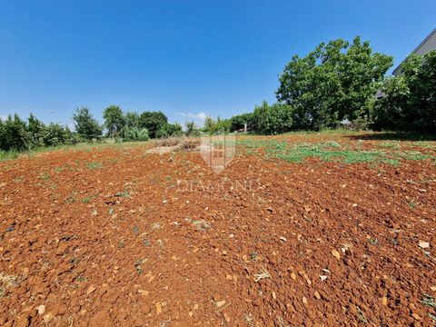 Location: Istarska županija, Novigrad, Novigrad. Istria, Novigrad! In a quiet village, just a few minutes' drive from Novigrad, there is this excellent building plot! The total area of ​​the land is 1119 m2, of which 666 is the construction part and ...