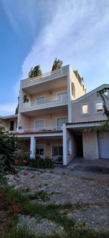 OPORTUNIDAD EXCLUSIVA Excelente edificio en venta en Kalamos, justo al lado del mar. Tiene una superficie de 600 metros cuadrados, con un frente de 40 metros al mar y una anchura de 30 metros. La propiedad incluye 14 apartamentos (35-50 m² cada uno),...