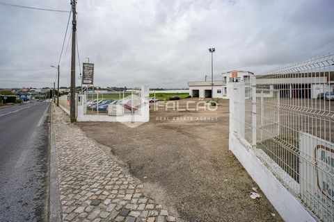 Laboratorio e negozio all'ingresso di Cartaxo a Vila Chã de Ourique, con fattibilità per vari tipi di commercio oltre a quello esistente. La proprietà con 2154.220 m2 ha l'ingresso dalla strada principale con un ampio cancello che dà accesso all'offi...