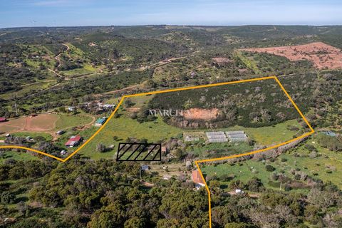 Située dans un endroit très rural et paisible, à environ 3 km du village, cette ferme se compose de 5 parcelles individuelles, toutes réunies, d'une superficie totale de 64 000 m². Les terres sont divisées par un chemin public. Une grande partie du t...