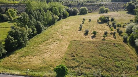 Grundstück mit einer Fläche von 24160 m2, am Rande der Stadt Ourém, in der Gegend von Seiça und Chão de Maçãs. Dieses Gebiet ist in vier Artikel unterteilt, von denen zwei über Brunnen verfügen, einer von ihnen einen großen Steintank hat und auch dem...