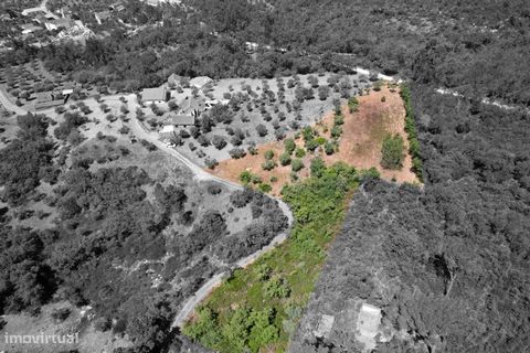 Land with an area of 3523m2, located 3 minutes from the River Beach of Agroal and about 25 minutes from the city of Ourém. Excellent land for building a removable house or starting up in the world of agriculture. Its accessibility has a tar road. Exc...