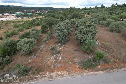 Rustic land located 400m from the center of Boleiros and minutes from fatima sanctuary! It has 4300m2 and a stunning view of the Serra de Aire. Perfect for some cultivation, or for proposals to change PDM, given the existence of several villas in the...