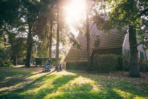 Diese geräumige, freistehende und renovierte Villa steht im bewaldeten Ferienpark De Katjeskelder, nicht weit vom Nationalpark De Biesbosch und doch nur 10 km von der lebendigen Stadt Breda entfernt. Die Villa besteht aus drei Stockwerken. Im Erdgesc...