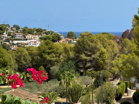 A vendre terrain à bâtir à Buenavista Benissa de 1.036 m2, avec une légère pente, de bonnes vues panoramiques. On peut aussi voir un peu la mer. Avec eau et électricité au pied de la parcelle. Libre choix du constructeur. À 300 mètres du club de tenn...