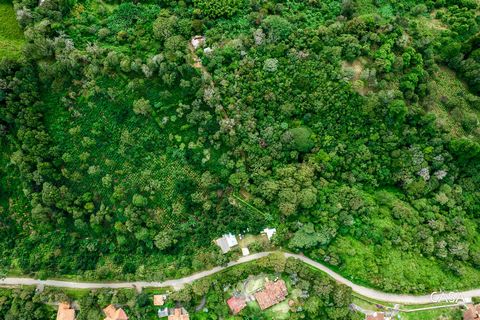 Betoverende Boquete Coffee Farm, een echt juweeltje genesteld in het hart van Jaramillo Centro, Boquete, op slechts 6 minuten rijden van het centrum. Dit zorgvuldig samengestelde pand beslaat 4,2 hectare en is strategisch gelegen op 100 meter van de ...