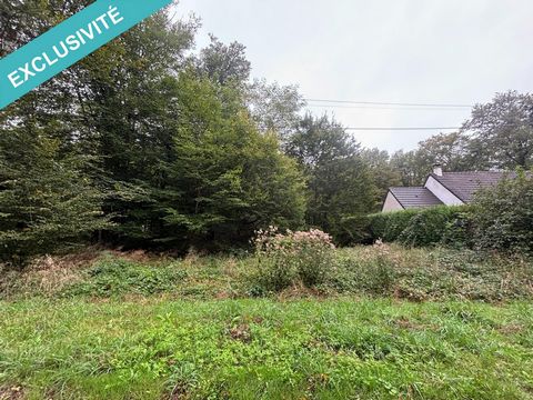 Terrain constructible au cœur de la Puisaye