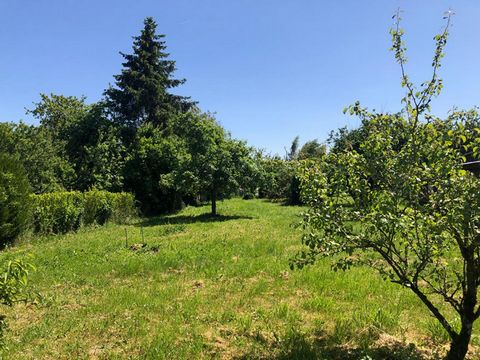 Terrain constructible de 1 220 M2, non viabilisé avec eau et électricité en bordure de parcelle. Situé au calme sur la commune de Cerneux, à 7 mns de Beton-Bazoches et ses commerces, à 18 mns de Provins et à seulement 1 heure de Paris sur l'axe N4......