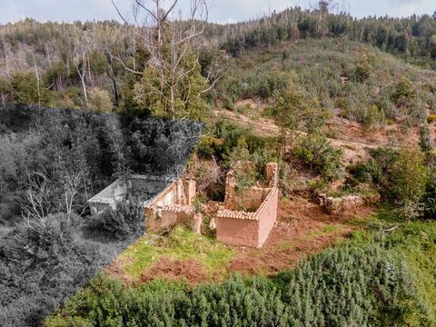 Terreno Misto com ruína para reabilitar no sitio do Serro Alto na freguesia de Monchique Este terreno é constituído por parte rústica com a área de 22.780m2, onde se insere uma ruína para reabilitar com 63m2. Virado a Sul e a Nascente com vista para ...