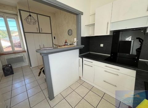 Proche centre ville et gare, appartement de type T3 Bis en duplex comprenant entrée, dégagement, cuisine équipée avec coin repas, salon, salle de bains à l'étage 2 chambre et water-closet, dégagement et placard. Copropriété en cours de 8 lots avec 6 ...