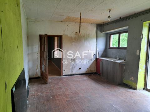 photo no. 11