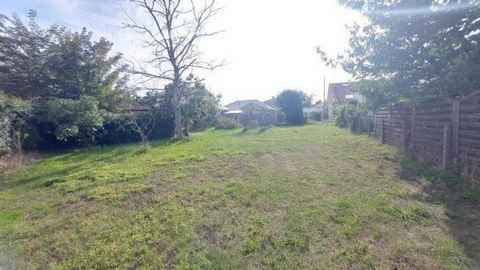 photo no. 2
