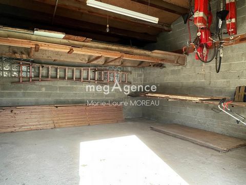 photo no. 18