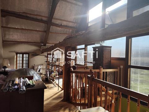 photo no. 12
