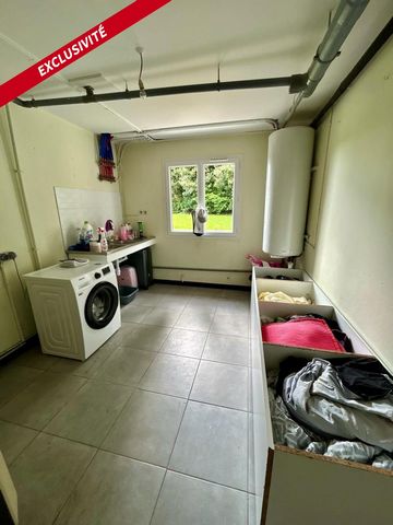 photo no. 11