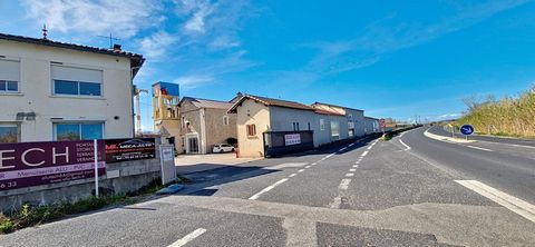 photo no. 3
