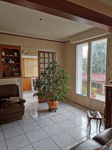 photo no. 7