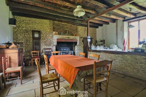 photo no. 14