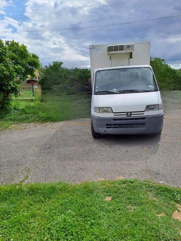 photo no. 6
