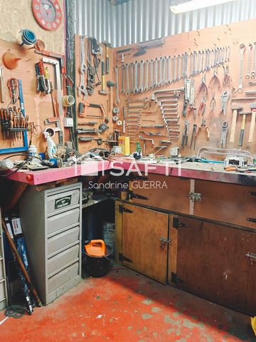 photo no. 14