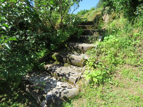 photo no. 10