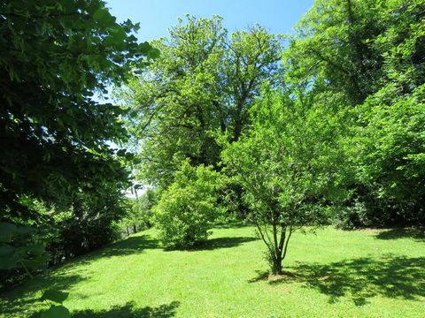 photo no. 15