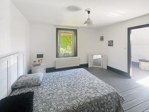 photo no. 8