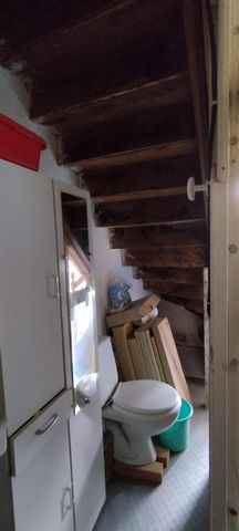 photo no. 9