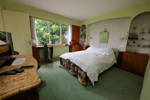 photo no. 13