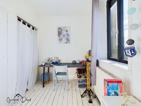 photo no. 10