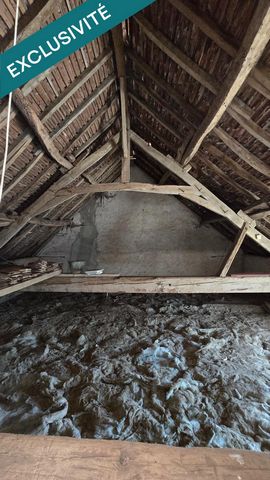 photo no. 19